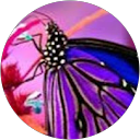 A10WITHER profile picture